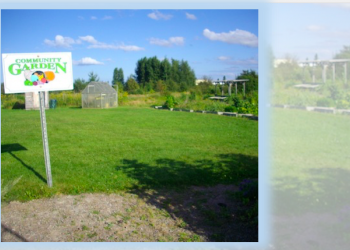 Sackville Community Garden: A treasure of wonders