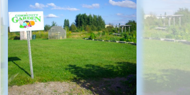 Sackville Community Garden: A treasure of wonders