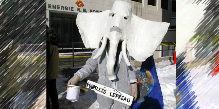 Lepreau is a white elephant: activists