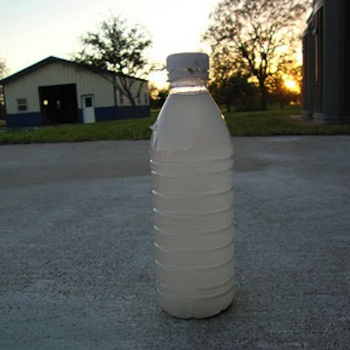 water-dish