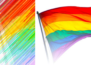 Trying to understand a tragedy