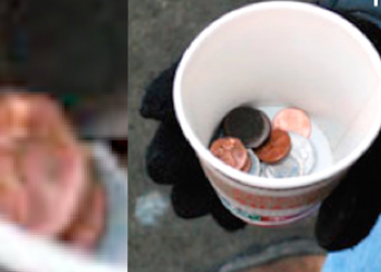Panhandling in Fredericton: the facts