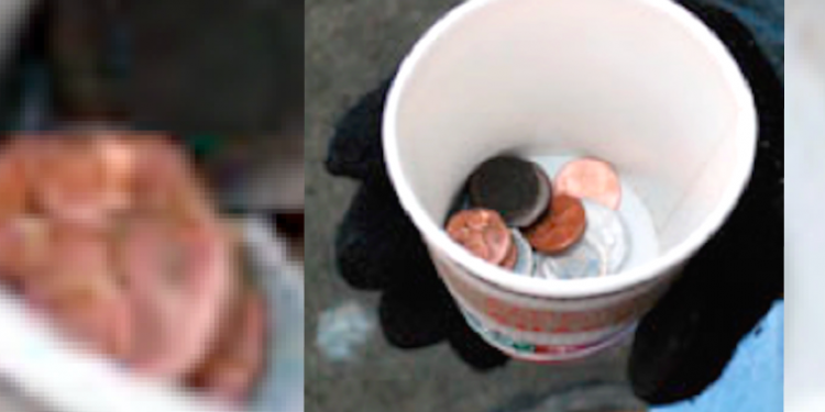 Panhandling in Fredericton: the facts