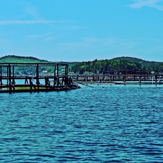 aquaculture