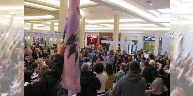 Optimum purpose and meaning of the “Idle No More” movement
