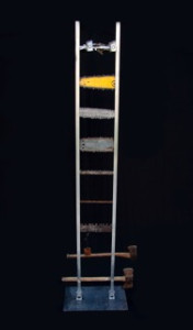 Sustainability Worry Ladders