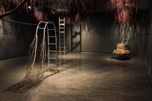 worry ladders
