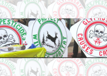 NB’s anti-glyphosate movement grows by thousands [audio]