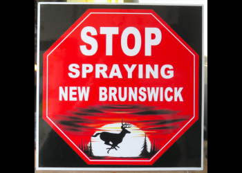 NBers stand up to spraying the forest near Mount Carleton Park