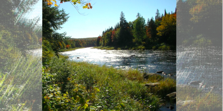 Province’s lakes at risk to metal mining effluent