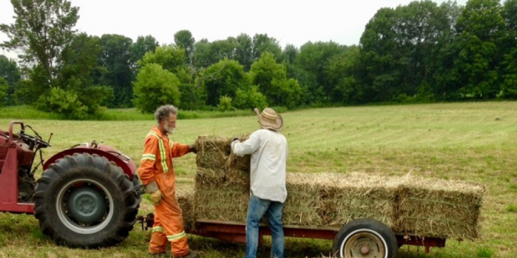 Local food, for local communities – A letter from New Brunswick’s future #8