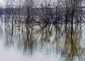 Flooding highlights support system disparities in rural New Brunswick
