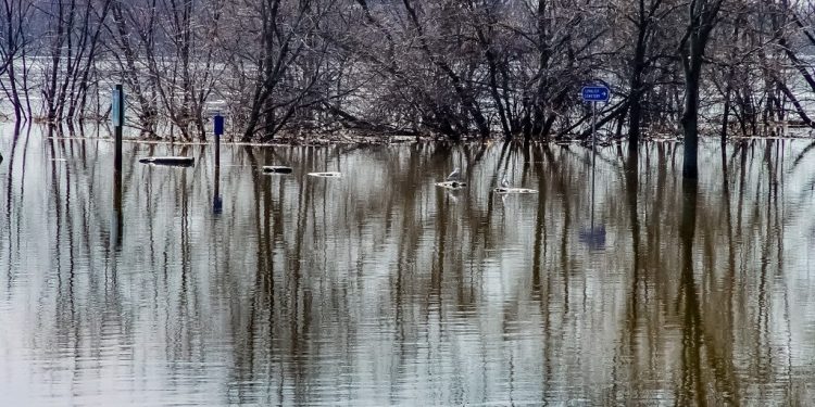 Flooding highlights support system disparities in rural New Brunswick