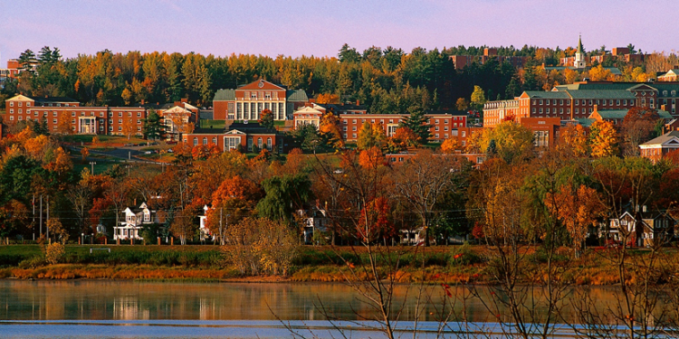 Divesting UNB from fossil fuels: a brief history