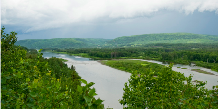 Action on glyphosate spraying: a new bill in the new Legislature
