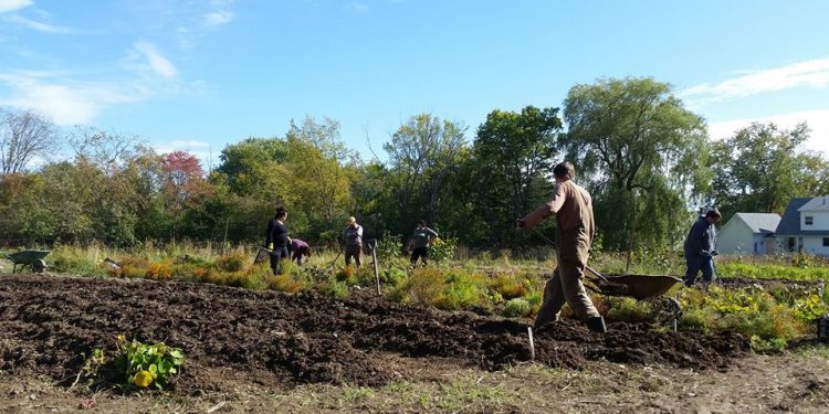 Regenerative farming supports local food distribution