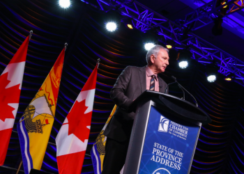 New Brunswick’s corporate bully / victim game