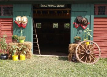 Supporting local food