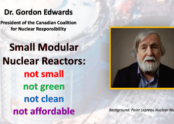 Gordon Edwards on small modular nuclear reactors (SMNRs) [video]