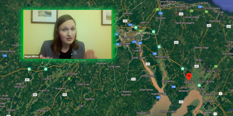 COVID-19 shows need for guaranteed income and crackdown on ‘corporate tax dodgers’: MLA Mitton