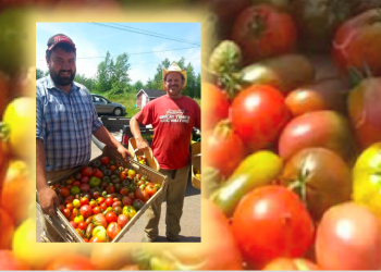 Public sector kitchens could rescue New Brunswick farmers