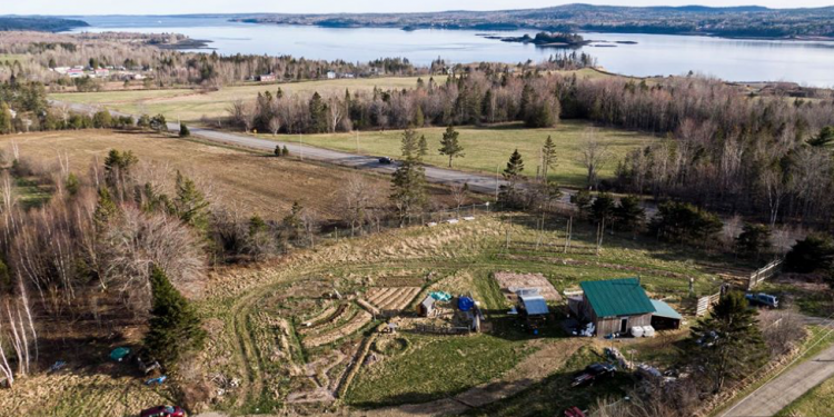 “We know what you are against, but what are you for?” Farming and permaculture in Bayside, New Brunswick