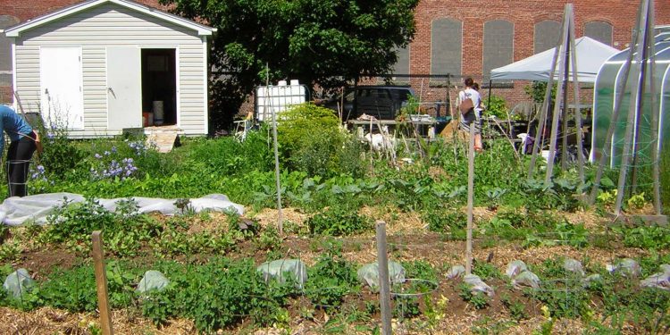 Are you living in a food desert in New Brunswick?