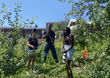 Hope Blooms: youth-driven food security movement flourishes in Halifax