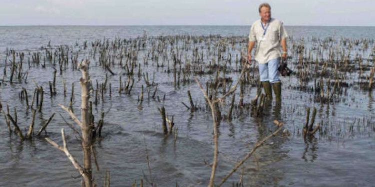 Exploring environmental destruction in Louisiana through poetry