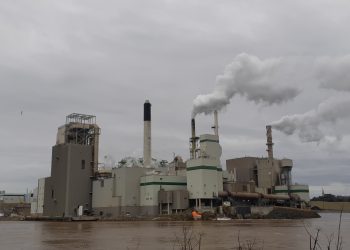 The pandemic is not isolated – to stop the cycle of destruction, radical change is needed