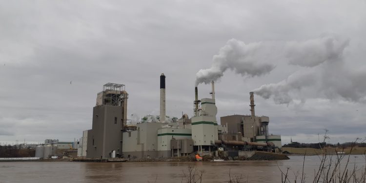 The pandemic is not isolated – to stop the cycle of destruction, radical change is needed