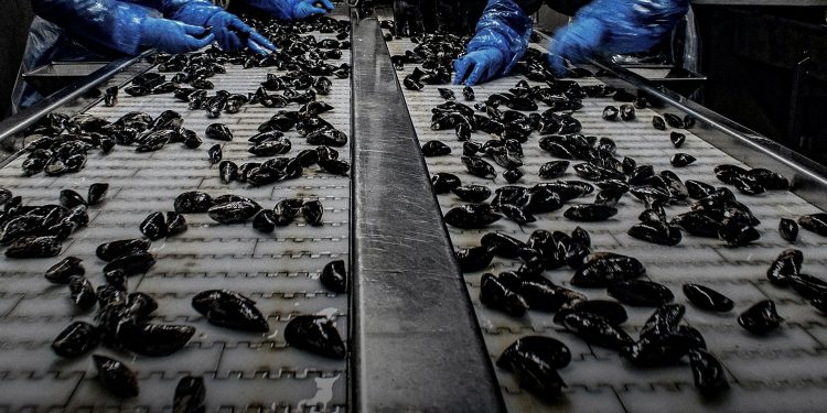 Profits trump COVID-19 protections for migrant seafood workers in Atlantic Canada