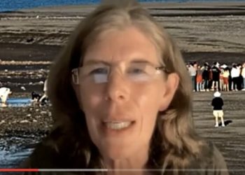 Susan O’Donnell on Small Modular Nuclear Reactors: Who’s pushing them and why should Canadians care? [video]