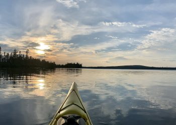 Pesticide poison for Miramichi Lake: the unthinkable option