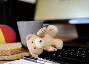 Accord transformateur pour les Néo-Brunswickoises : Entente sur les services de garde à l’enfance