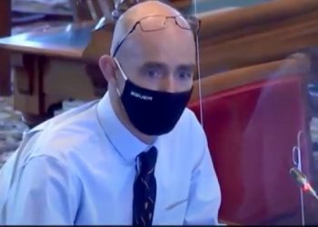 Les coupes à blanc et la plantation de résineux: Preuve irréfutable du déclin des populations aviaires du Nouveau-Brunswick, concluent les chercheurs