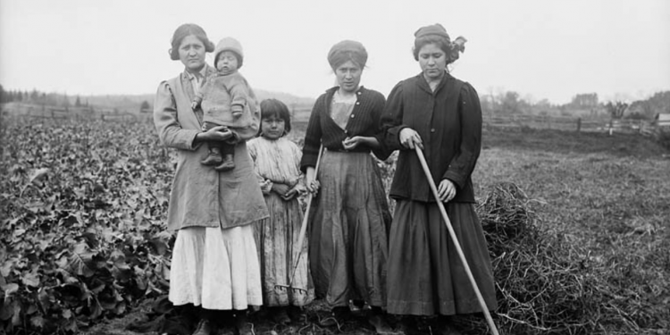 Colonialism in the Higgs government