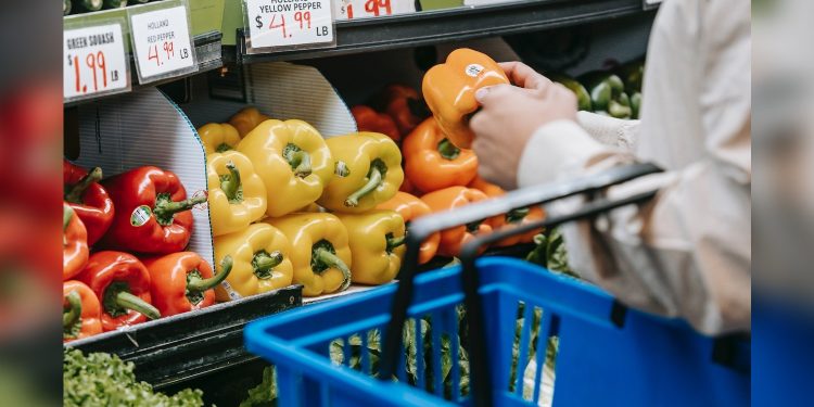 Political will required to end poverty, food insecurity in New Brunswick