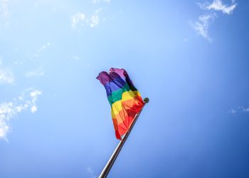 Alter Acadie NB : Lancement officiel de l’organisme franco-queer du Nouveau-Brunswick