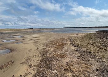 Do New Brunswickers have the right to a healthy environment?