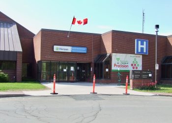 Confidential report recommends solutions to health care issues such as doctor shortage, ambulance delays