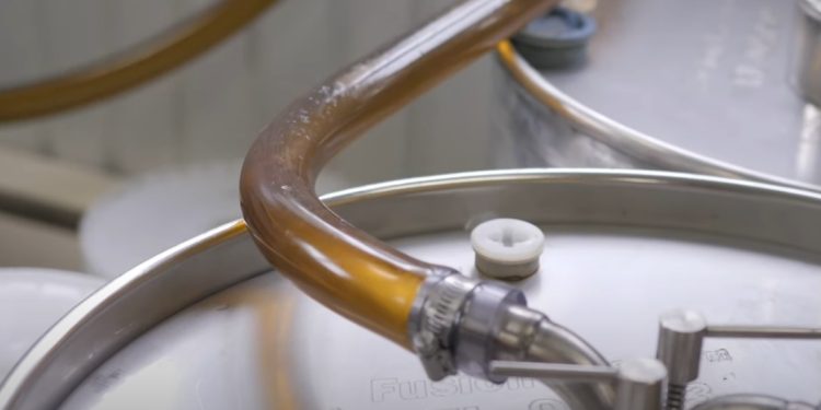 Amber-brown maple syrup runs through a clear tube connected to metal equipment.