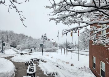 Advocates concerned international student cap causing harm, confusion