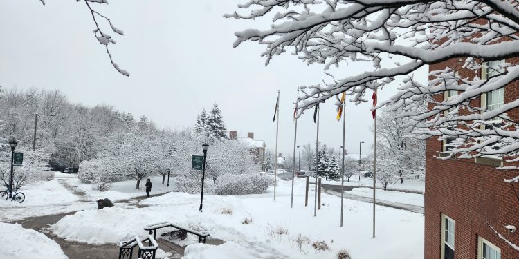 Advocates concerned international student cap causing harm, confusion