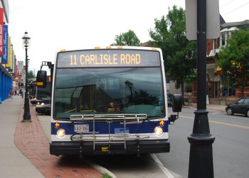 Is Fredericton a transit-friendly city? Residents want improvements
