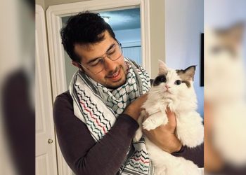 ‘Just me and the sea’: Fredericton-based Lebanese artist recalls the scent of trees and the horror of war back home